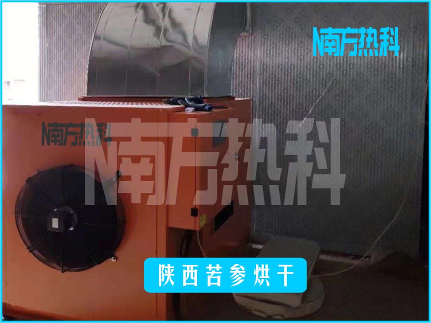 陜西苦參烘干(圖1)
