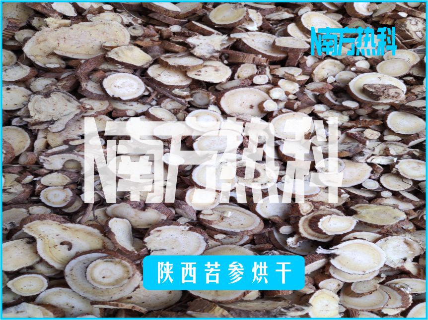 陜西苦參烘干(圖2)
