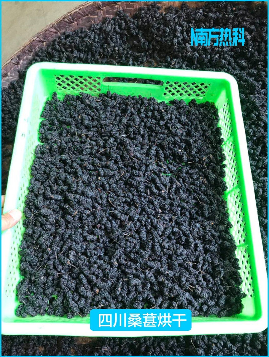 桑葚烘干機(jī)烘干優(yōu)勢(shì)有運(yùn)行效率高、清潔無污染