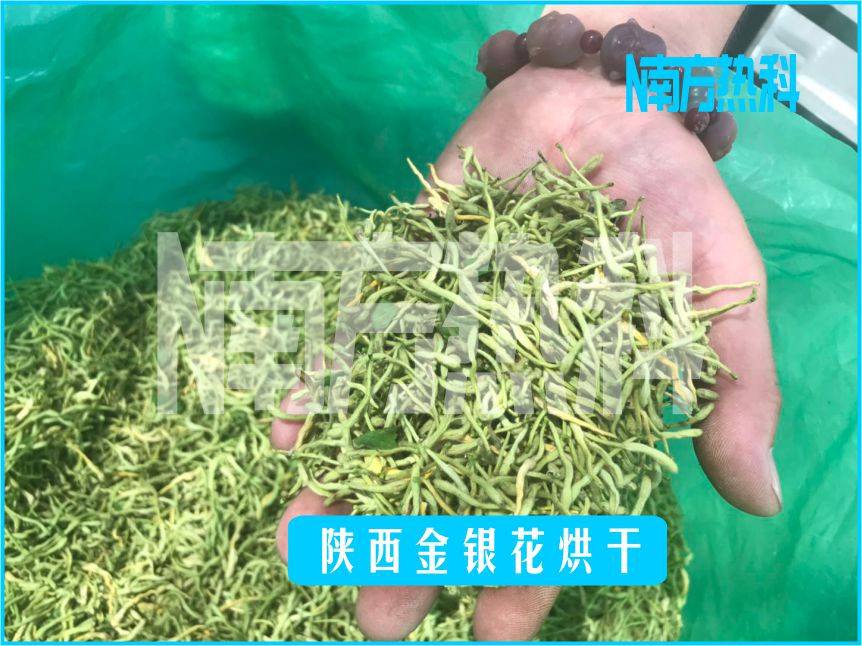南方熱科金銀花烘干機(jī)是金銀花干制時(shí)的一款自動(dòng)化智能化烘干設(shè)備